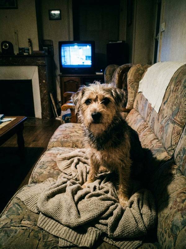 What a fixed lens and a flash give you